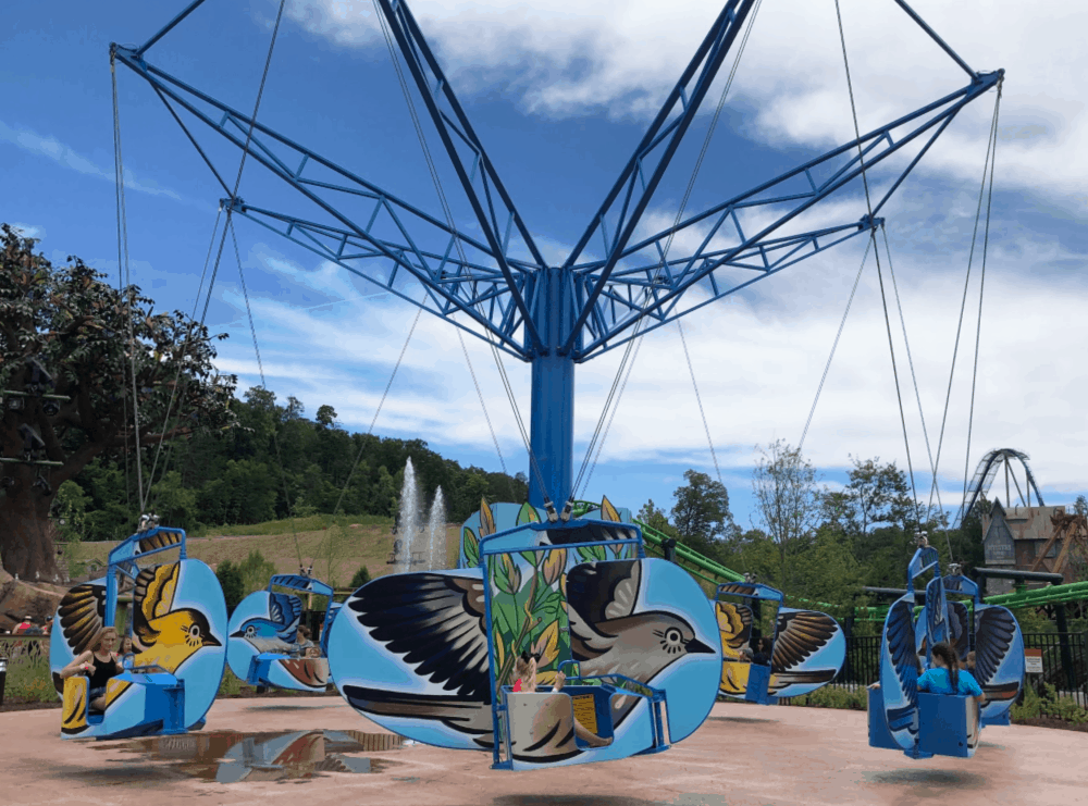 Wildwood Grove Pigeon Forge