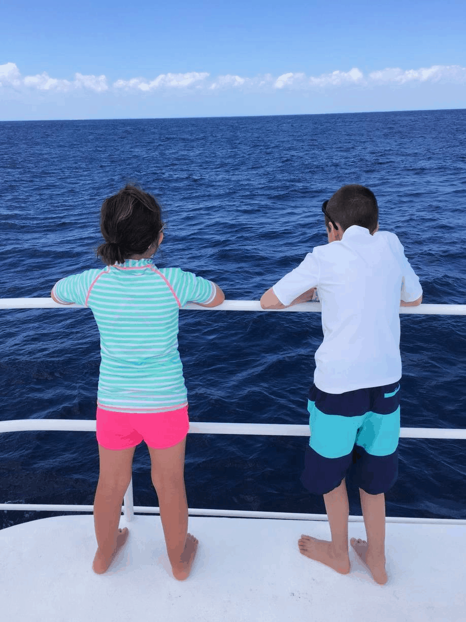 Taking a cruise