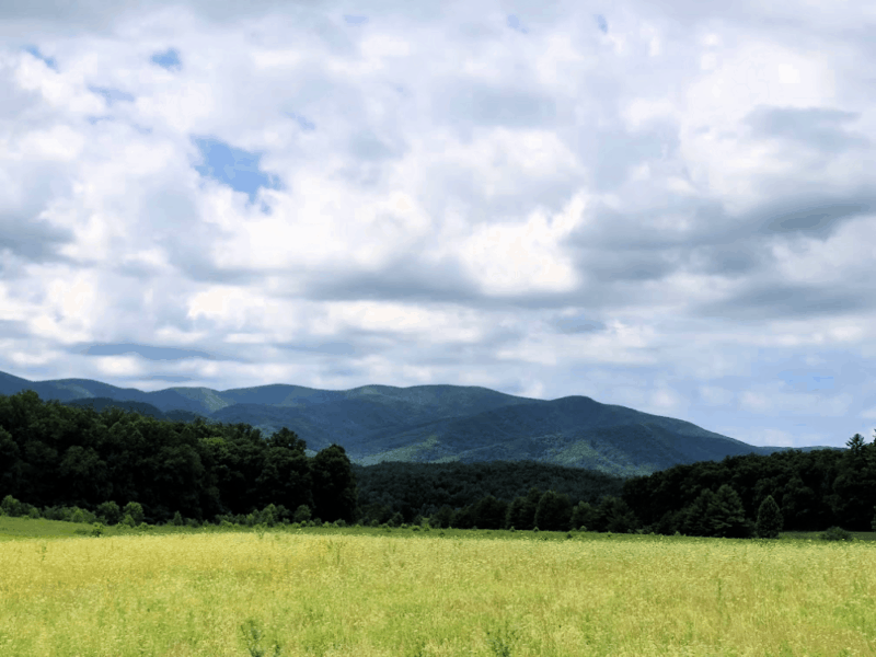 Pigeon Forge, Tennessee: Loads of Fun for Everyone