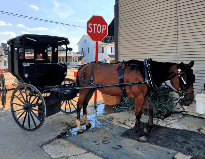 From Atlanta to the Northeast: Part 4, the Amish Community and the Sluggers