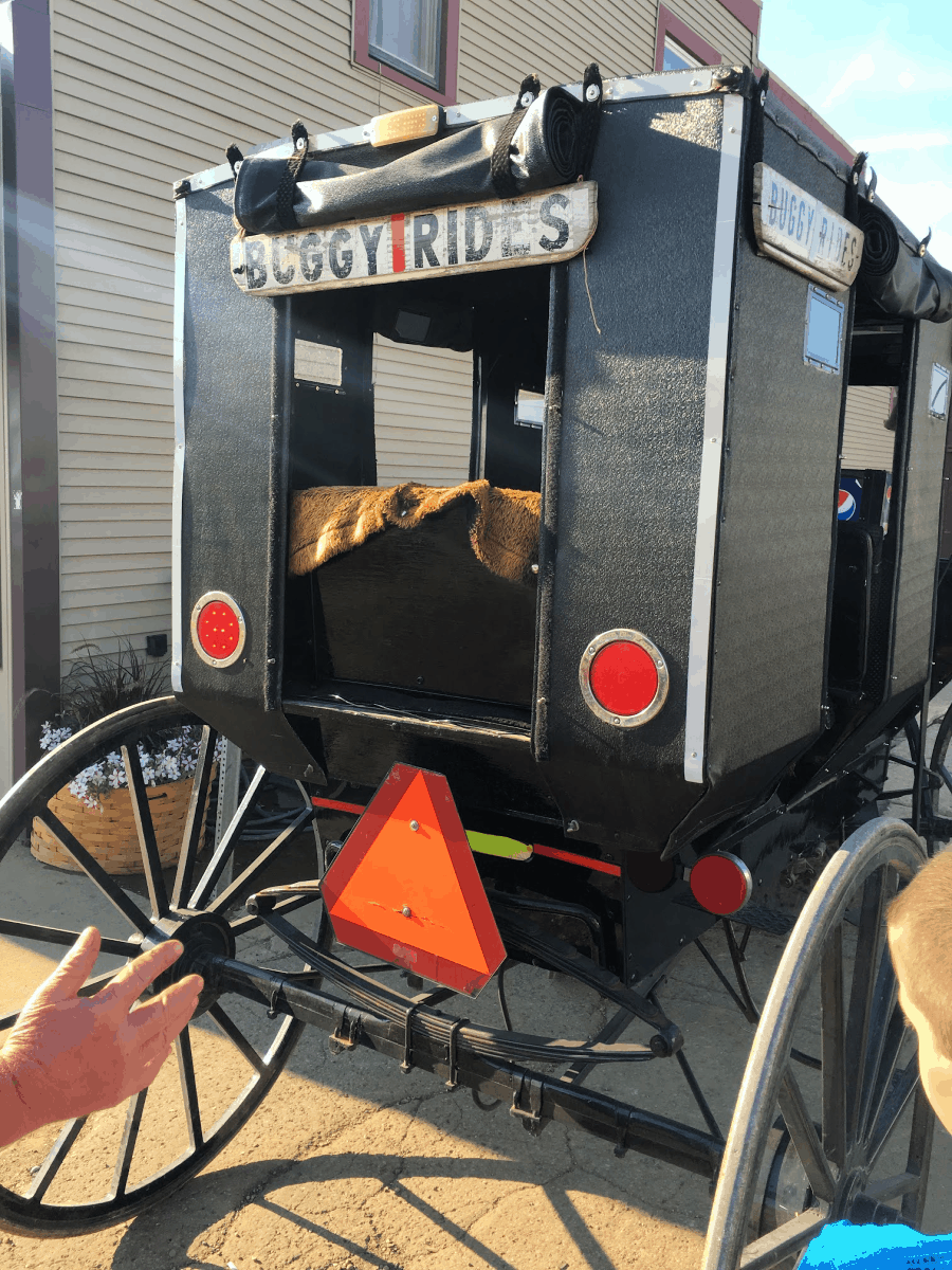 Berlin Ohio Amish Community