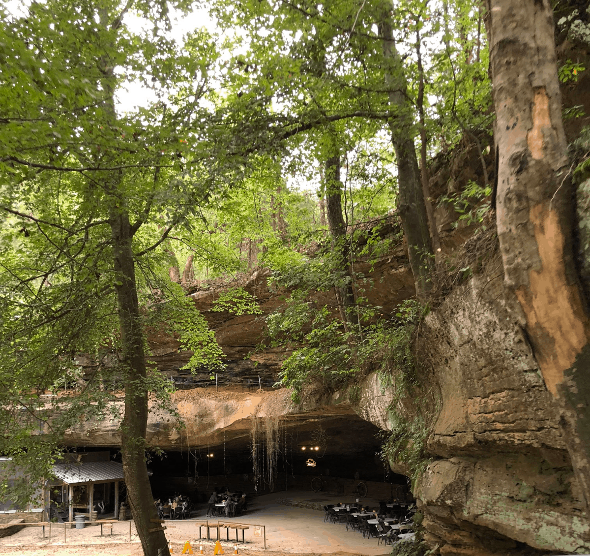 Rattlesnake Saloon