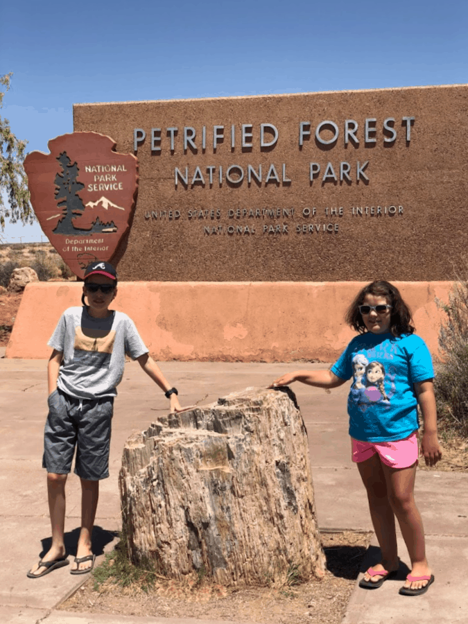 Petrified Forest National Park