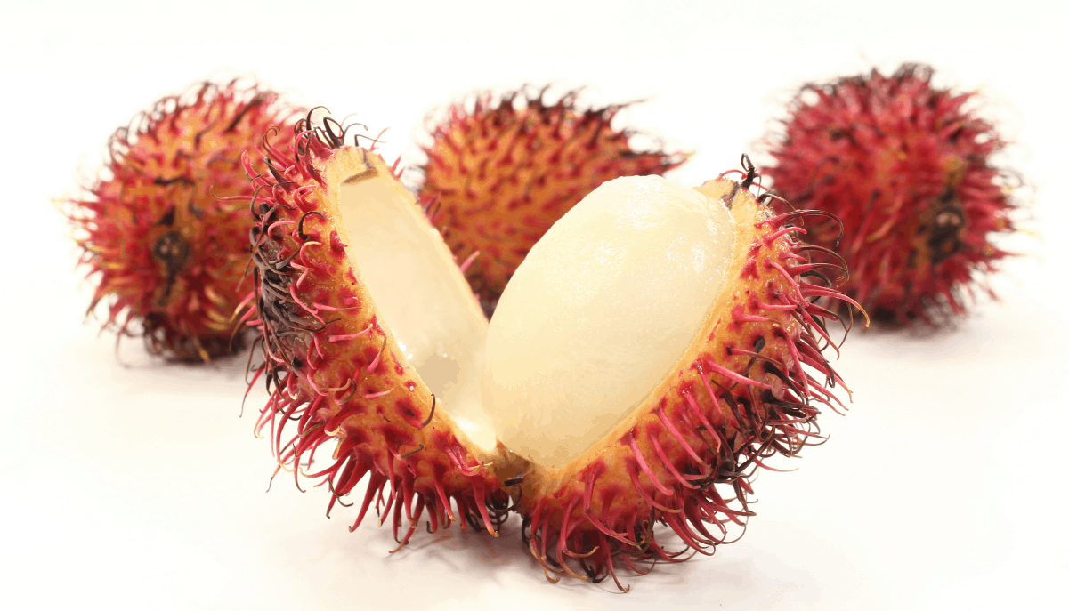 rambutans for conversation