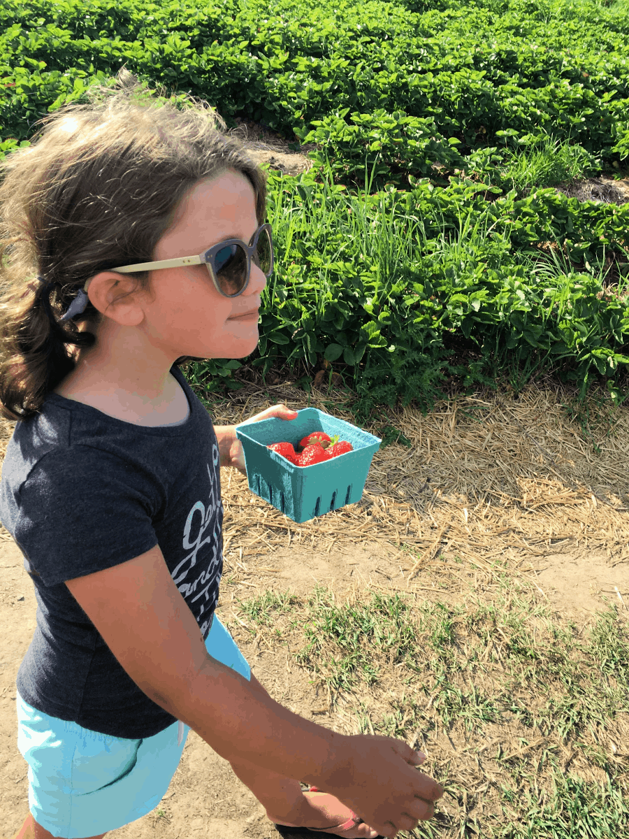 Hampton Falls Family Road Trip