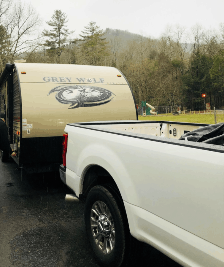 Camping in the Gre Wolf