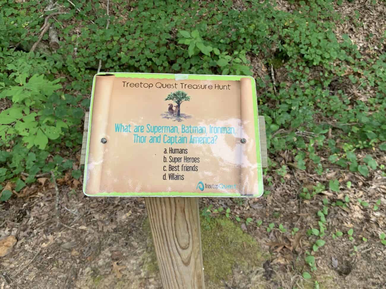 Treetop Treasure Hunt