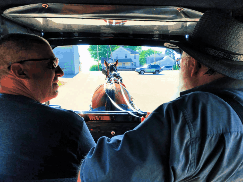 Berlin Ohio Amish Buggy Rides