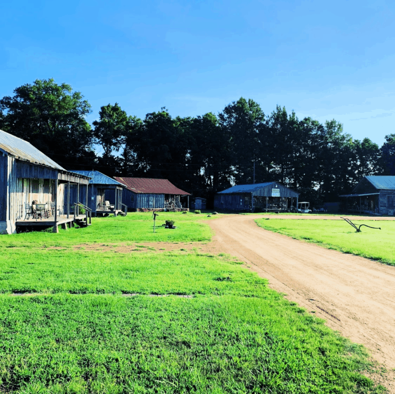 Tallahatchie Flats: An Unforgettable Experience