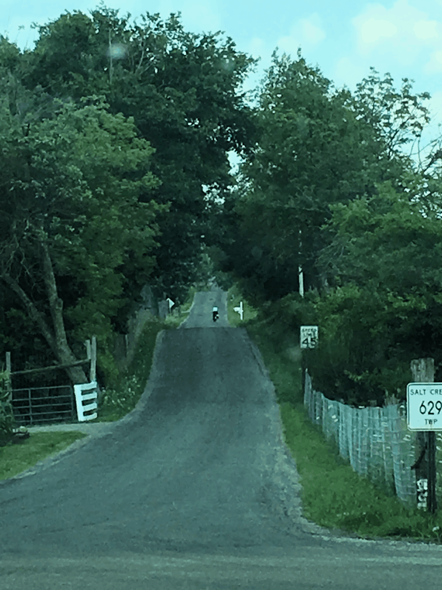 Berlin Ohio Amish Community