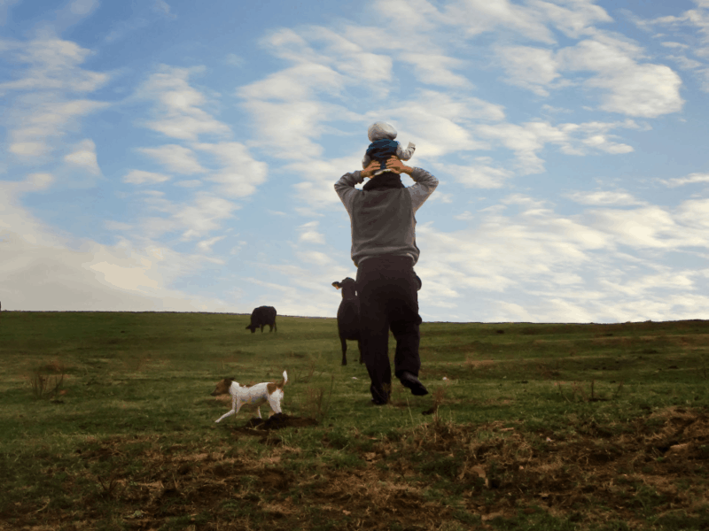 Traveling…Through Life