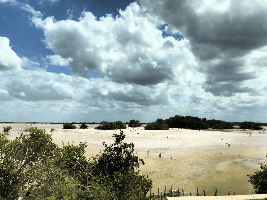 Salt fields in Mexico