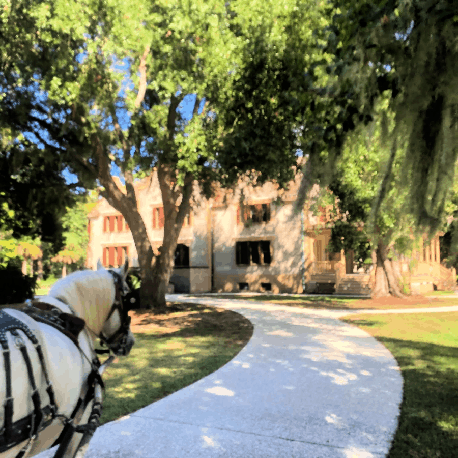 three oaks farm carriage rides
