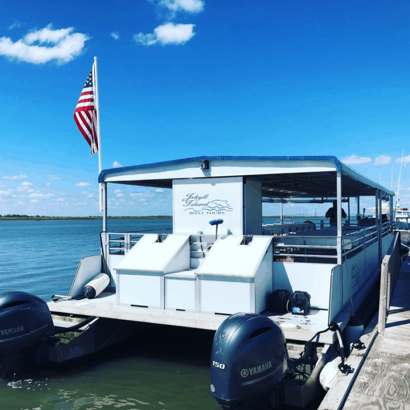 Jekyll Island Dolphin Tours