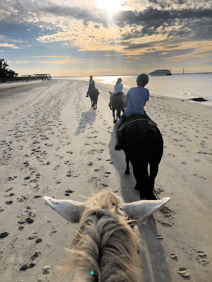 Horseback riding on Jekyll Island
