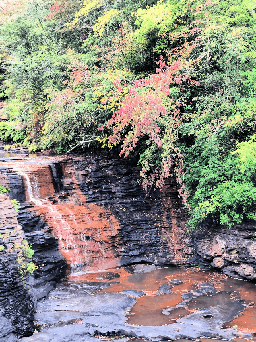 De Soto State Park