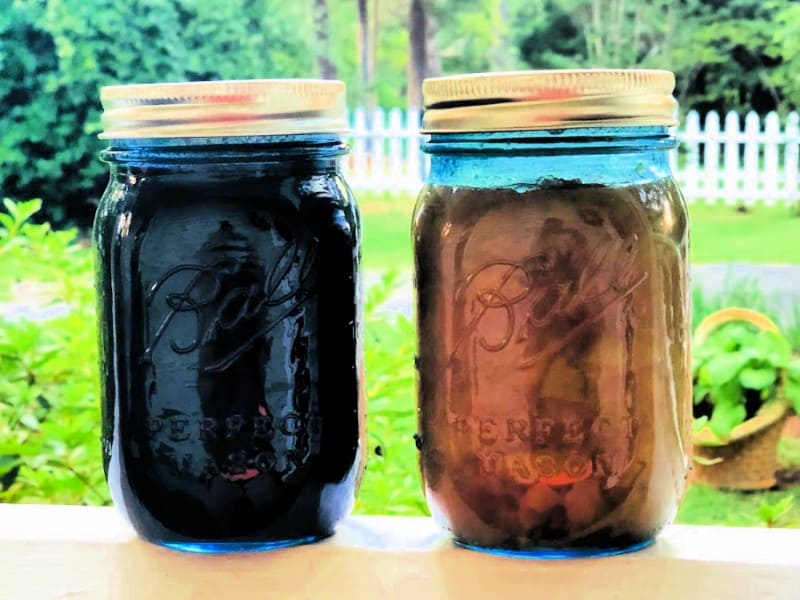 canning summer fruits